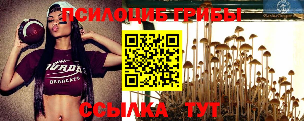 Псилоцибиновые грибы мухоморы Белово